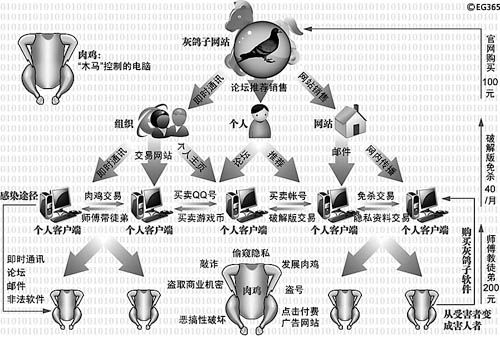 灰鸽子官网与灰鸽子异族官网之争