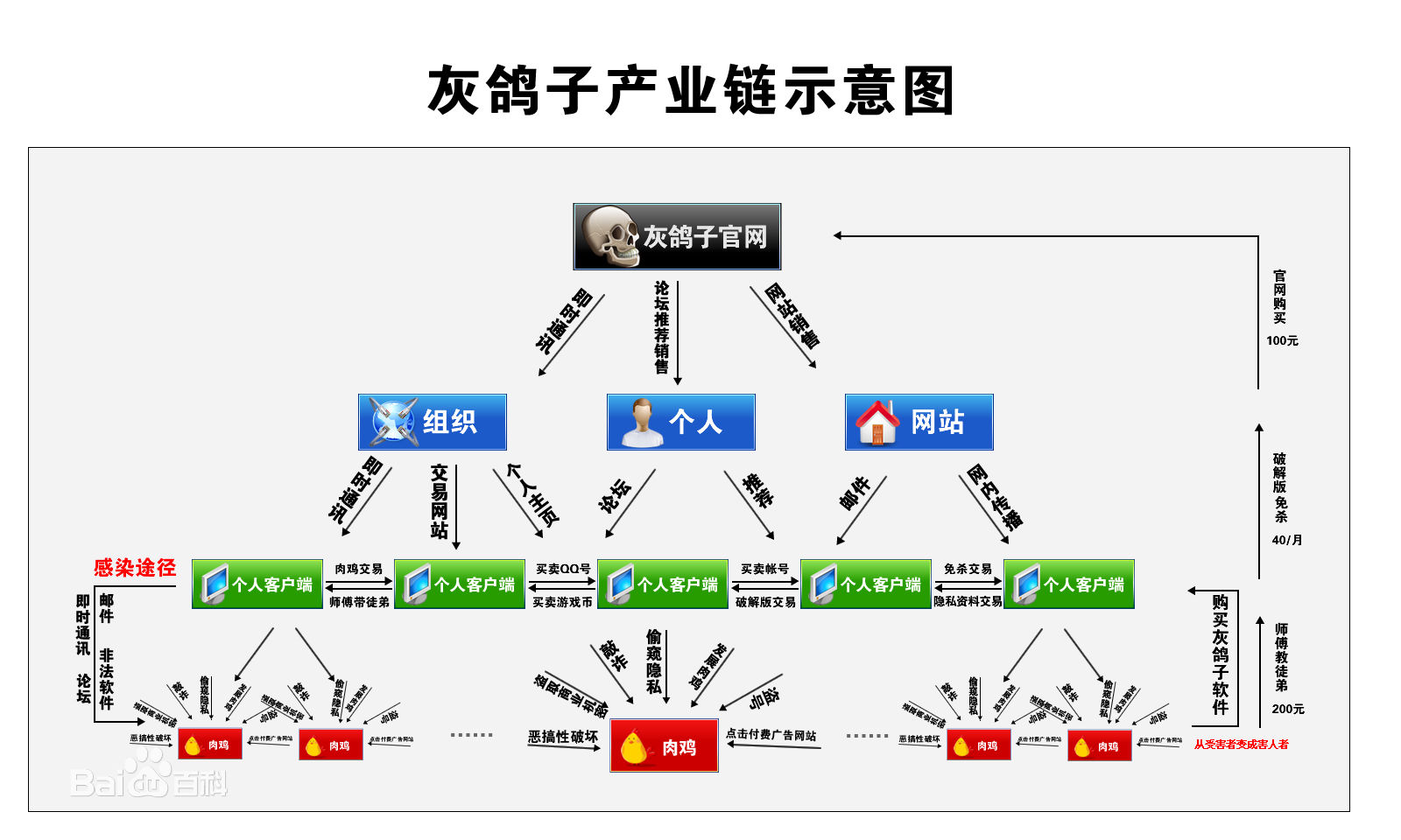 灰鸽子病毒专杀